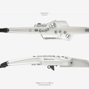 67ee3aeef093d72efed76e42f3280349c265a28a2b6f96f2ee8ad.jpg Roland AE-10 Aerophone Digital Wind Instrument