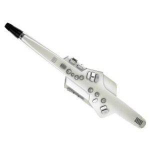 67ee3af398036b09f3ddde93aff5544a3f6d248a41879a83ebfcb.jpg Roland AE-10 Aerophone Digital Wind Instrument
