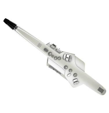 67ee3af398036b09f3ddde93aff5544a3f6d248a41879a83ebfcb.jpg Roland AE-10 Aerophone Digital Wind Instrument