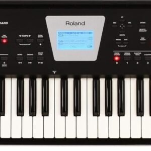 Roland BK-3 Backing Keyboard (Black)