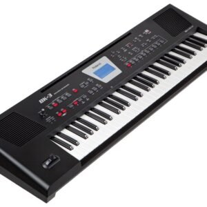 Roland BK-3 Backing Keyboard (Black)