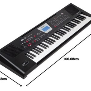Roland BK-3 Backing Keyboard (Black)
