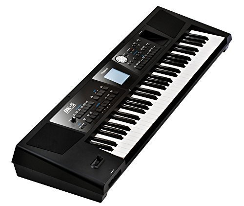67ee3bf5c239b5918834e83fac6d37812552beb9c9eb620231d08.jpg Roland BK-5 Backing Keyboard