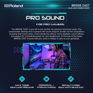 Roland Bridge Cast X Dual Bus Streaming Mixer and Video Capture Roland Bridge Cast X Dual Bus Streaming Mixer and Video Capture