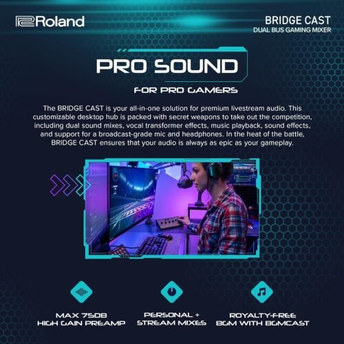 Roland Bridge Cast X Dual Bus Streaming Mixer and Video Capture Roland Bridge Cast X Dual Bus Streaming Mixer and Video Capture