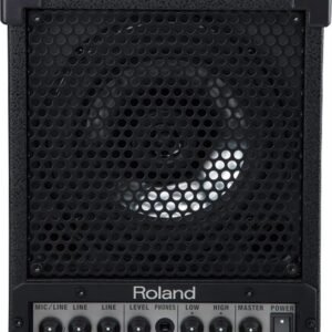 Roland CM-30 Cube Monitor Speaker
