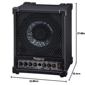 Roland CM-30 Cube Monitor Speaker