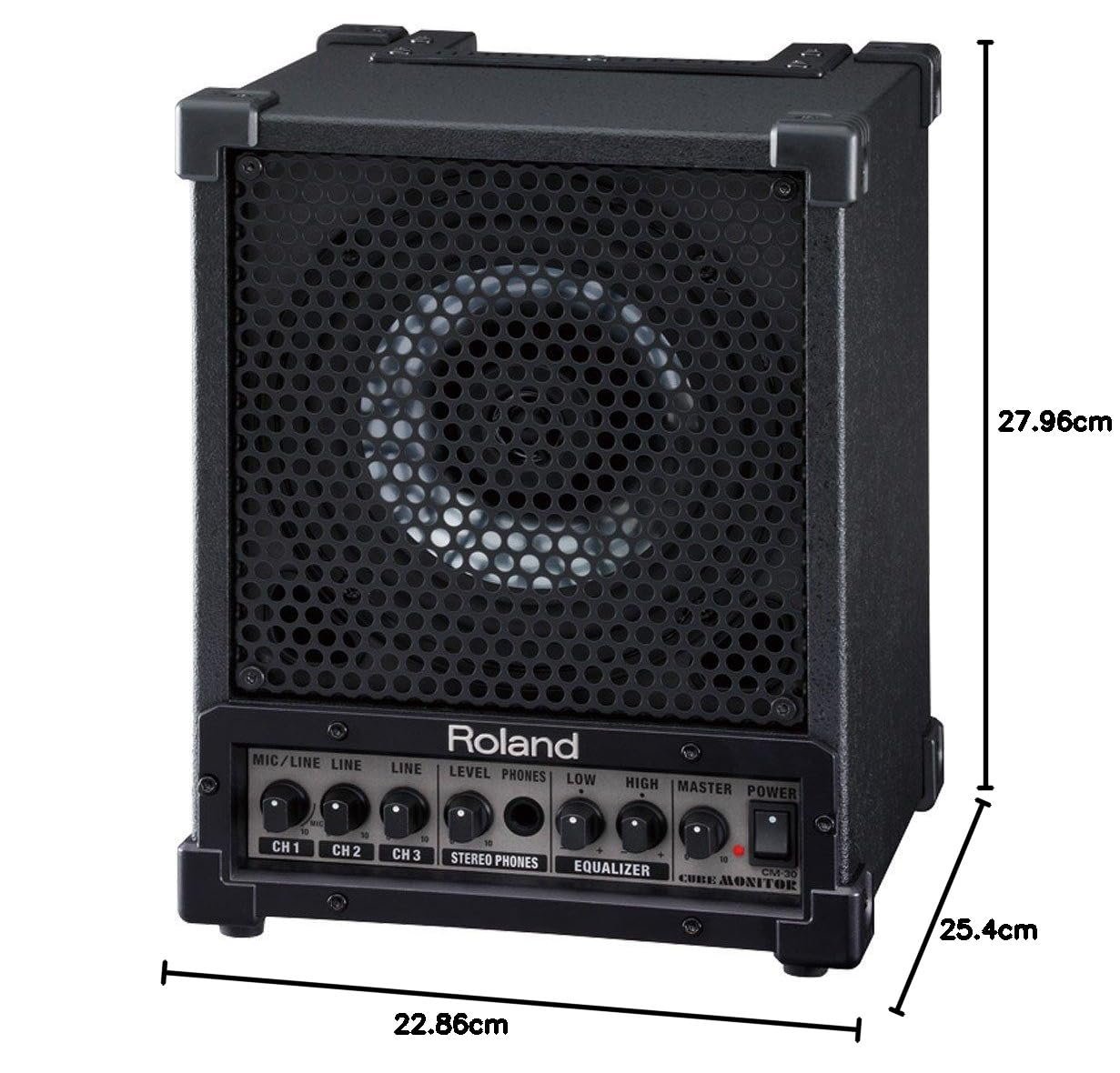 Roland CM-30 Cube Monitor Speaker