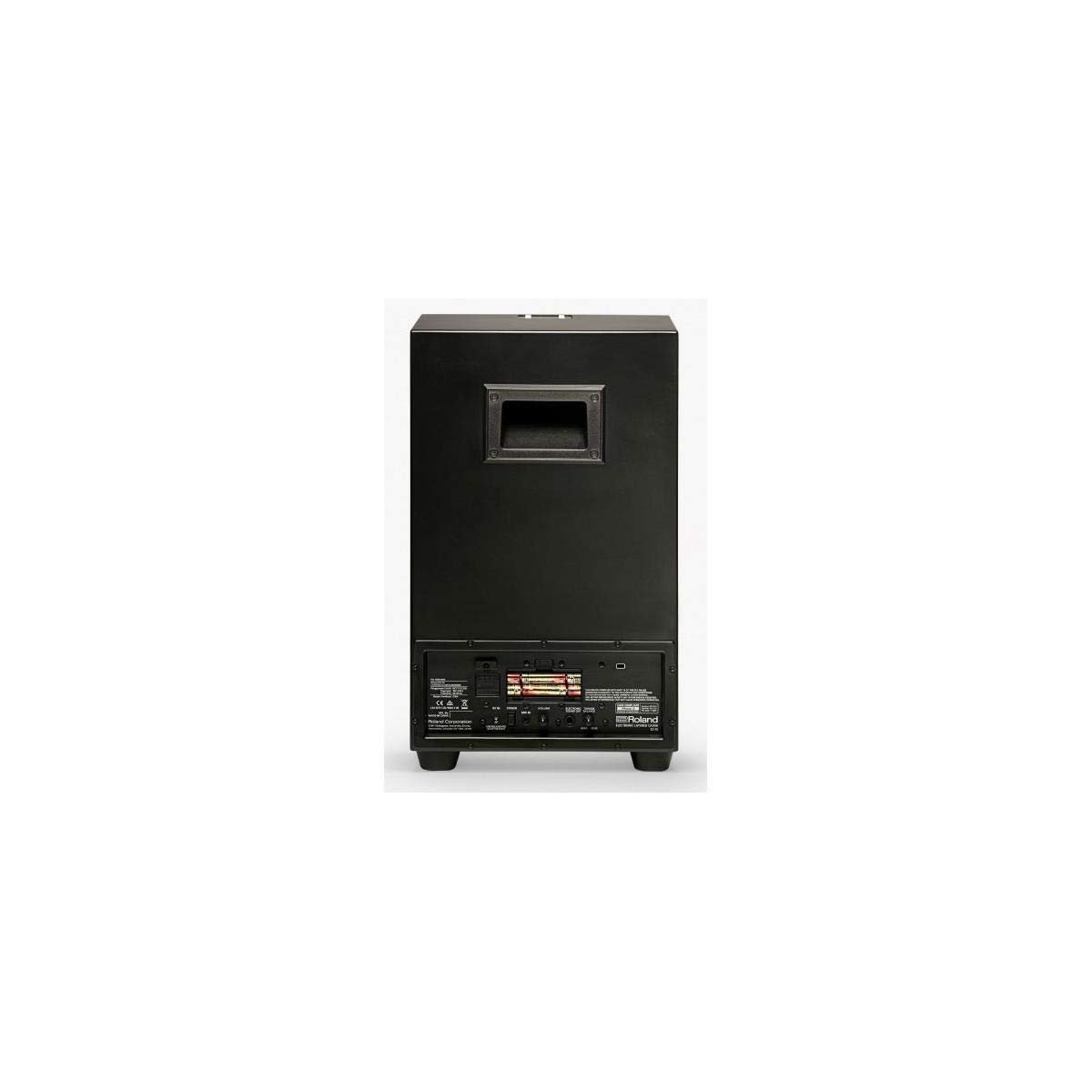 Roland EC-10 Electronic/Acoustic Hybrid Cajon