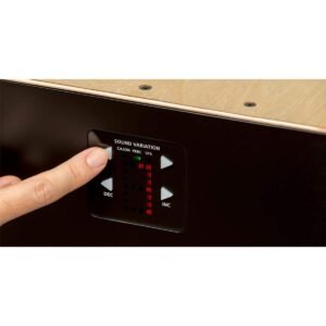 Roland EC-10 Electronic/Acoustic Hybrid Cajon