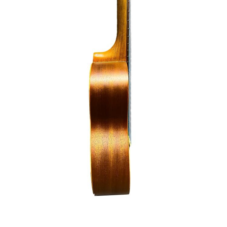 Whyte Audio FRU210 - Fiero Series, Concert Ukulele, Brown Walnut Wood