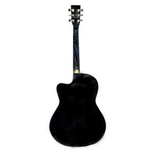Whyte Audio Fiero Series Acoustic Guitar (Black)