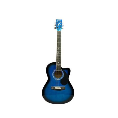 Whyte Audio Fiero Series Acoustic Guitar (Blue)