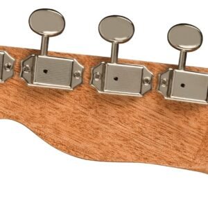 Fender Zuma Exotic Concert Ukulele, Bocote
