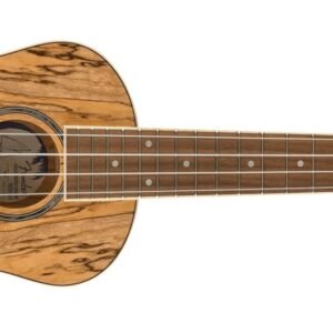 Fender Zuma Exotic Concert Ukulele, Spalted Maple