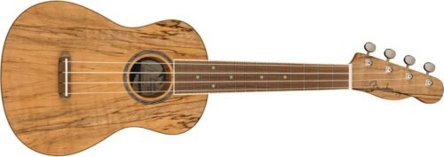 680f542d8ed77d2c4f6fd8f3067789a4a114635f15302d36ac724.jpg Fender Zuma Exotic Concert Ukulele, Spalted Maple
