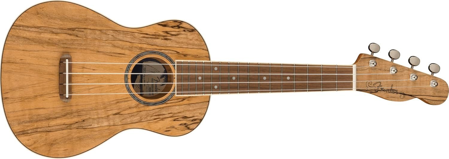 Fender Zuma Exotic Concert Ukulele, Spalted Maple