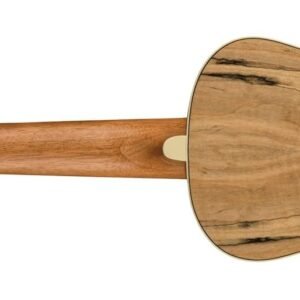 Fender Zuma Exotic Concert Ukulele, Spalted Maple