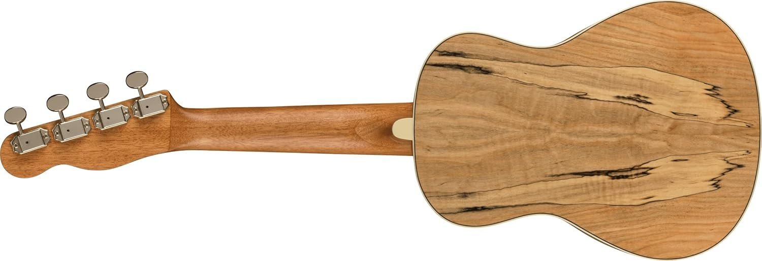 Fender Zuma Exotic Concert Ukulele, Spalted Maple