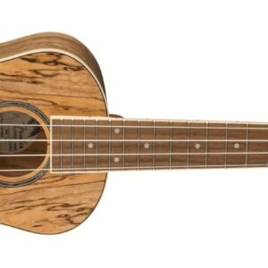 Fender Zuma Exotic Concert Ukulele, Spalted Maple