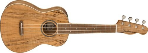 Fender Zuma Exotic Concert Ukulele, Spalted Maple