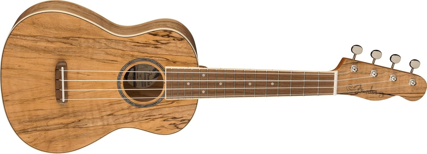 Fender Zuma Exotic Concert Ukulele, Spalted Maple