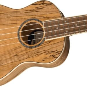 Fender Zuma Exotic Concert Ukulele, Spalted Maple