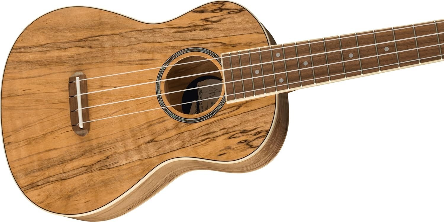 Fender Zuma Exotic Concert Ukulele, Spalted Maple