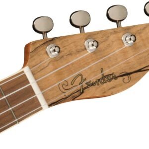 Fender Zuma Exotic Concert Ukulele, Spalted Maple