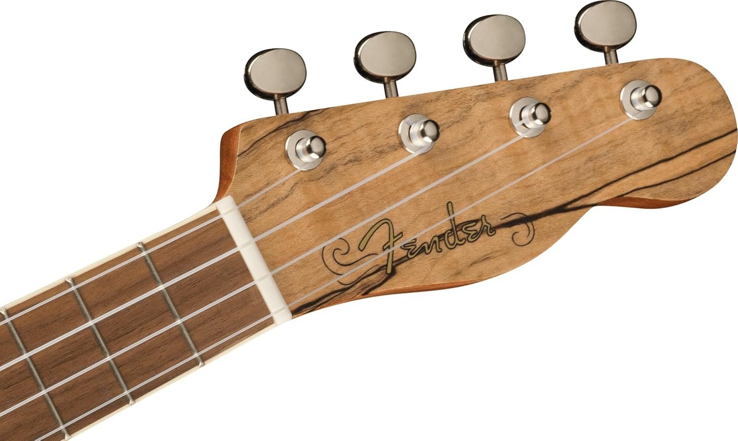Fender Zuma Exotic Concert Ukulele, Spalted Maple