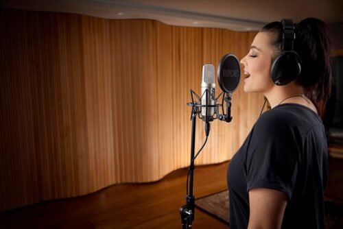 Rode Nt 2A Microphone - XLR