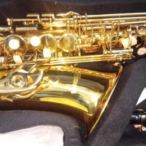 Havana Alto Saxophone Gold laquer With Case