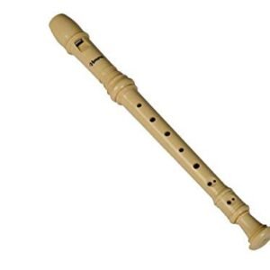 6821e1944956135ade573ad96db3afb6925291d099a1d91c815b4.jpg Havana Baroque(B) Recorder With Cleaning Rod and bag