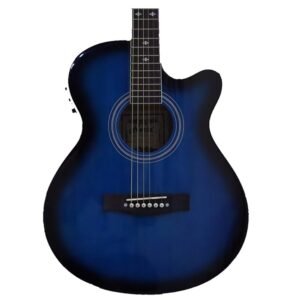6836c1759768eb8da66a3d38c43039f57b33a84027f749542c6c3.jpg Hertz HZA4000 Acoustic Guitar - Blue
