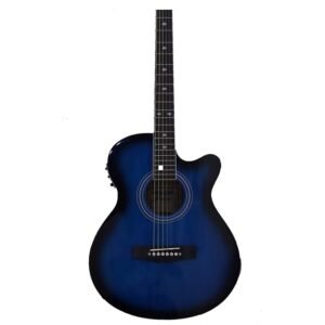 6836c176cff0278c977d03eba329e53183bcc832f0816119c55b5.jpg Hertz HZA4000 Acoustic Guitar - Blue