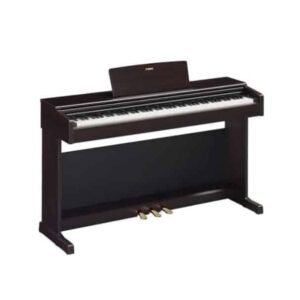Yamaha YDP-145R ARIUS Digital Piano - Dark Rosewood With Adapter PA150B
