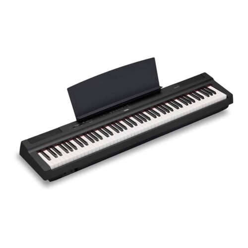 6887522cc7d13a58d7d66b6bf51c8bf6a2ae67bee395904142bb1.jpg YAMAHA P-125AB DIGITAL PIANO WITH 88 KEYS, Black- Product is Discontinued