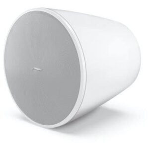 Bose Professional DM10P-SUB Pendant Install Subwoofer - White