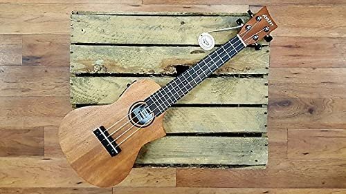 Ashton UKE240EQMH Electro-Acoustic Concert Ukulele Sold by Chennai Musicals