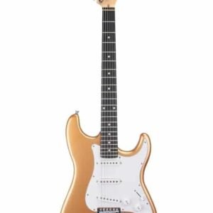 Ashton AG232GD Electric Guitar