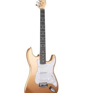Ashton AG232GD Electric Guitar