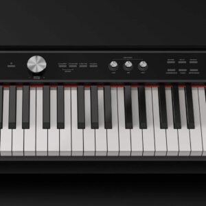 NUX NPK-20 88-Key Portable Digital Piano ? 271 Sounds (Black) NUX NPK-20 88-Key Portable Digital Piano ? 271 Sounds (Black)