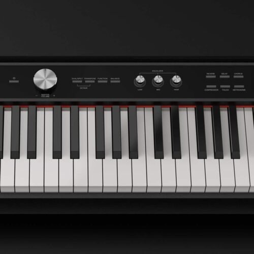 NUX NPK-20 88-Key Portable Digital Piano ? 271 Sounds (Black) NUX NPK-20 88-Key Portable Digital Piano ? 271 Sounds (Black)