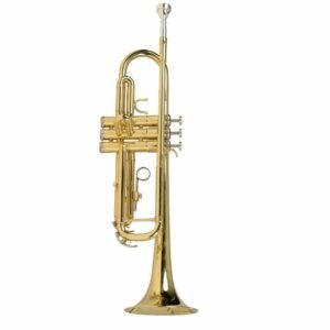 68947bfa5d46b2791b2c1ae3aef5ea61b9a1b0e9dd7ef424c2976.jpg Vienna YWTR-01 Trumpet Bb Scale Gold Lacquer Sold By ChennaiMusicals