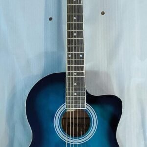 Havana Acoustic Guitar (AAG39, Blue)