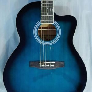 Havana Acoustic Guitar (AAG39, Blue)