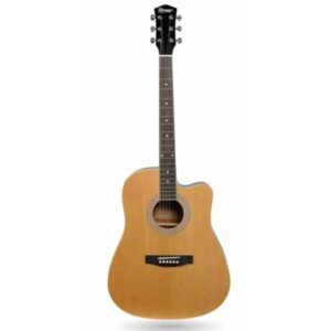 HAVANA AAG-41 NT Acoustic Guitar