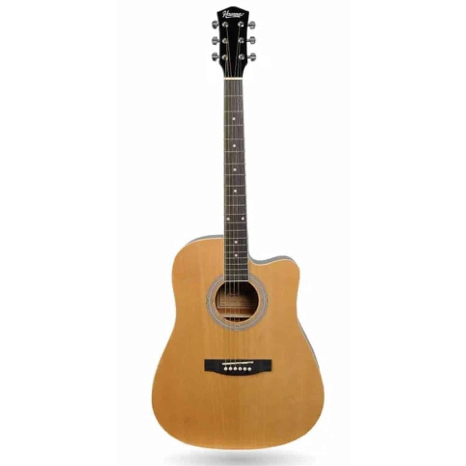 HAVANA AAG-41 NT Acoustic Guitar