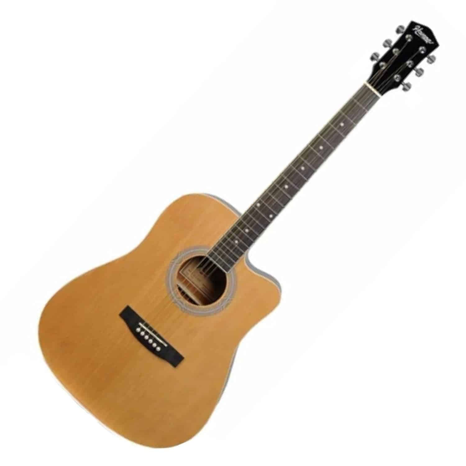 HAVANA AAG-41 NT Acoustic Guitar