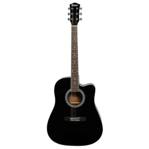 Havana - AAG-41 BK Acoustic Guitar - Black